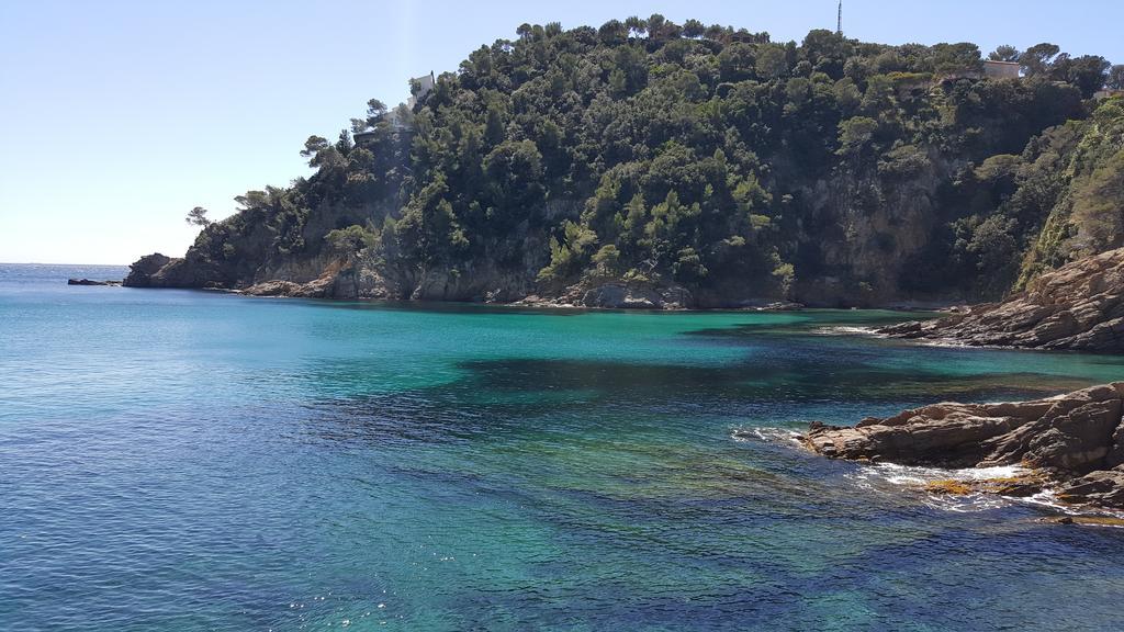 Hotel La Calanque كافالير سور مير المظهر الخارجي الصورة